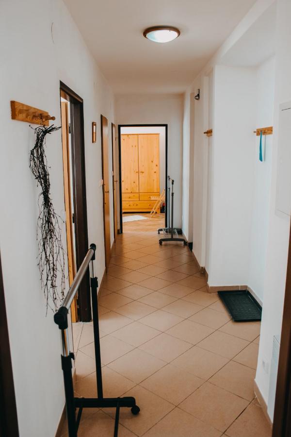 דירות Apartman רוקיטניצה נאד איז'רו מראה חיצוני תמונה